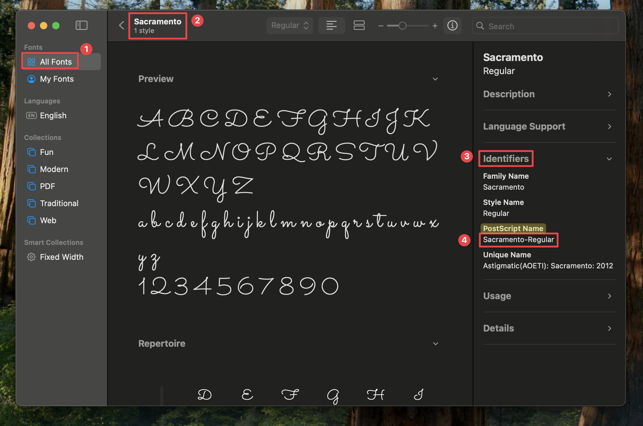 Check PostScript Name in Font Book